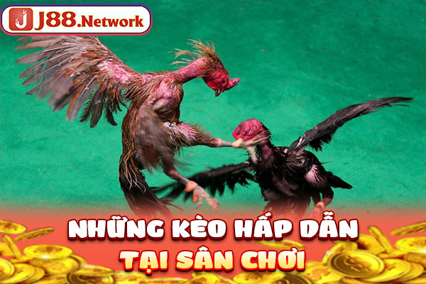 Những kèo hấp dẫn tại sân chơi Những kèo hấp dẫn tại sân chơi