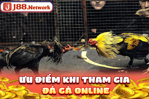 Ưu điểm khi tham gia đá gà online Ưu điểm khi tham gia đá gà online
